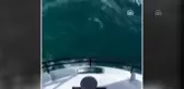 Karadeniz'de olumsuz hava koşulları balıkçıları zorluyor