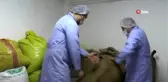 Fındık üreticisi fındığını 16 lira yerine 60 liradan satmanın yolunu buldu