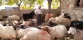 Adıyamanlı çobandan Cumhurbaşkanına çağrı