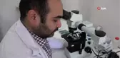 Öğretim görevlisi keşfettiği pire türlerine kızlarının adını verdi