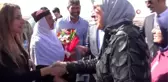 Ödüllü Derik zeytininde hasat sezonu başladı