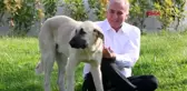 Denizli sopayla dövülen o köpek artık emin ellerde