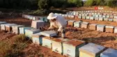 Dünya Arıcılık Kongresinde Türk balının zaferi