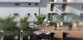 Sokak köpeğini sopa ile acımasızca dövdü