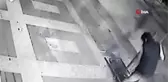Görenler gözlerine inanamadı... Cadde ortasındaki ağacı yerinden sökmek için dakikalarca uğraştı