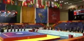 15. Dünya Wushu Şampiyonası