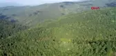Çanakkale mucize siyah bal, rengi nedeniyle tüketilmiyor