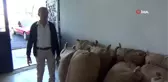 Fındık fiyatları yükselişe geçti