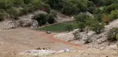 Zedelemeden çilek toplamak için sistem geliştirdi