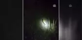 Köye inen aç tilki doyuruldu
