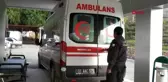 Yağmurda sığındıkları ağaca yıldırım düşen çift yaralandı