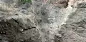 Hayvanlarını otlatan çoban ölü bulundu