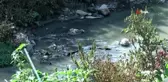 Simsiyah su akan kanal vatandaşları korkutuyor