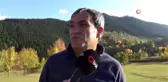Bu restoranın içinden ağaç geçiyor