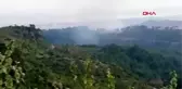 Osmaniye kadirli'deki orman yangınında 6 hektarlık alan zarar gördü