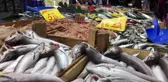 Balıkta inanılmaz hile: Solungaçlarını kırmızıya boyuyorlar