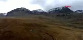 Rize ovit dağı'na 'cumhuriyet tırmanışı'