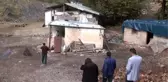Çukurca'da mantar hasadı