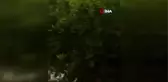 Vezneciler saldırısına ilişkin yargılamaya devam edildi