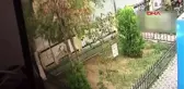 İzmir yavru kediyi tekmeleyerek öldürdü
