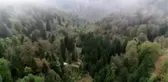 Kuzalan Tabiat Parkı sonbahar güzelliğine büründü