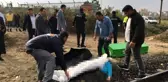 Kulağındaki kulaklık, yürüyüşe çıkan kadını canından etti