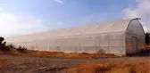 Van'ın elma ve armut türleri koruma altında