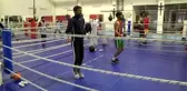 Erkek Milli Boks Takımı'nın Kastamonu kampı sürüyor