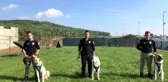 İstanbul Emniyeti'nin özel köpeklerinin zorlu eğitimi görüntülendi