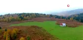 Karadeniz ormanları rengarenk
