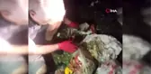 Çöpe attığı 10 bin lirayı dedektif gibi iz sürerek buldu