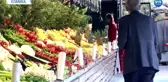 Ispanak Zehirlenmelerinde Yeni Şüpheli 'Şeytan Elması' mı?