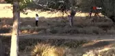 Üniversite mezunu genç kız, köyünde açtığı kaz çiftliği ile kendi işinin patronu oldu