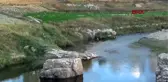 Çanakkale baraj havzasında doğal ıspanak yetiştiriyorlar
