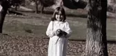 Yaralı Keklik