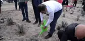 Çanakkale gelibolu yarımadası'nda 'lavanta tarla günü' etkinliği