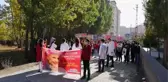 Güroymak'ta lösemili çocuklar için farkındalık yürüyüşü