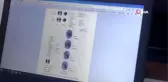 Parmak izinden cinsiyet ve yaş tespitini başarılar