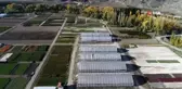 Türkiye'nin en büyük fidanlığından 40 şehre fidan