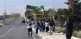 Ormanlık alanları temizlediler