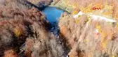 Ordu ulugöl'de sonbahar güzelliği