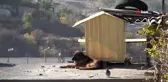 Hobisini çatıya taşıdı