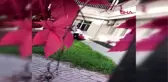 Kayseri ağlayan zihinsel engelli öğrenciyi darbeden 6 kişi açığa alındı