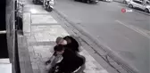 Alman kurdunun kaptığı kediyi ağzından 5 kişi güçlükle kurtardı...O anlar kamerada