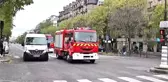 Fransa'da sarı yelekliler gösterilerin birinci yılında sokaklarda