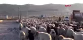 Göçerlerin zorlu dönüş yolculuğu -
