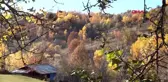 Karadeniz'de havalar soğudu, köyler sessizliğe büründü