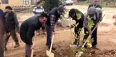 Sanatçıların köyünde, Yıldız Kenter için çınar fidanı dikildi - KONYA