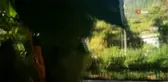 Dutlar mevsimi şaşırdı