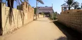 Mısır'ın 